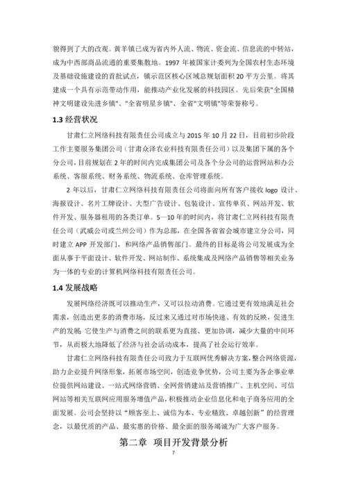 甘肃仁立网络科技项目运营策划书.docx