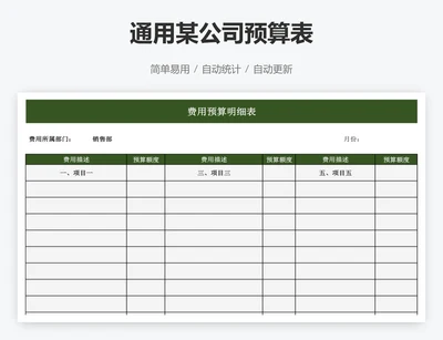 通用某公司预算表