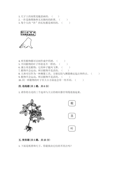 教科版一年级上册科学期末测试卷【必刷】.docx