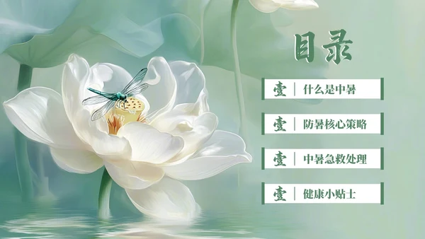 绿色清新夏季防暑降温健康指南PPT模板