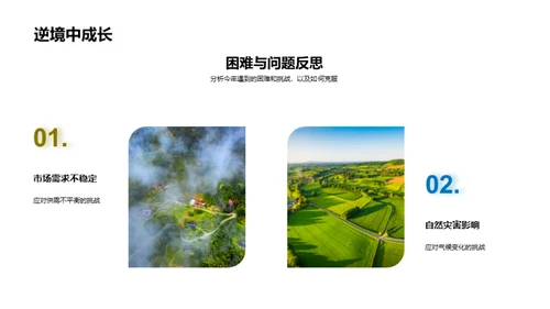 年度农业成就盘点