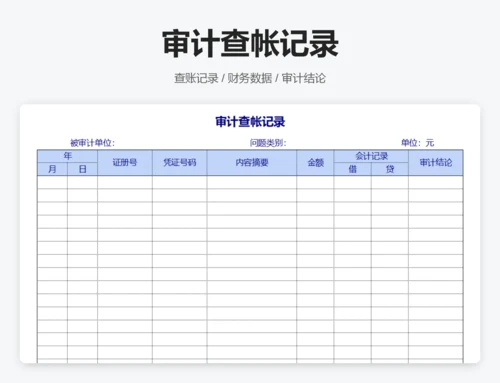 审计报告表