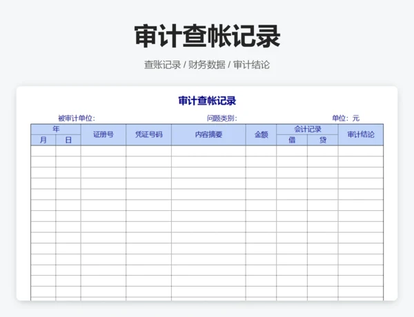 审计报告表