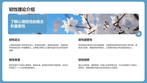 蓝色小清新高考心理辅导讲座PPT模板