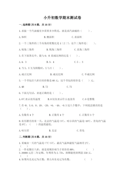 小升初数学期末测试卷（综合卷）.docx