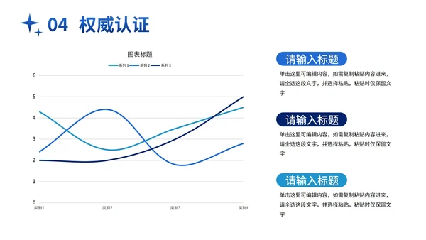 蓝金大气商务实景项目计划书