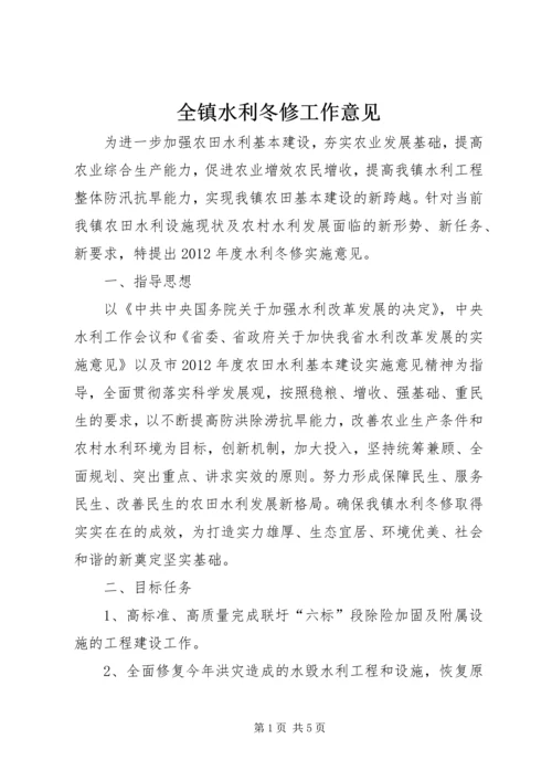 全镇水利冬修工作意见.docx