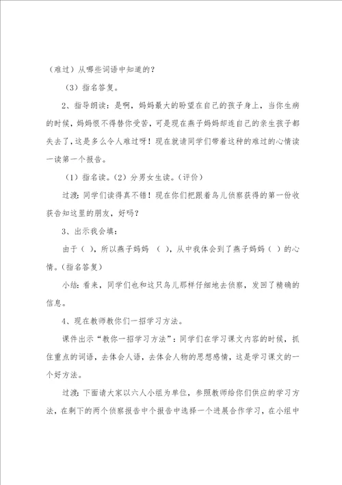 鸟儿的侦察报告教学设计