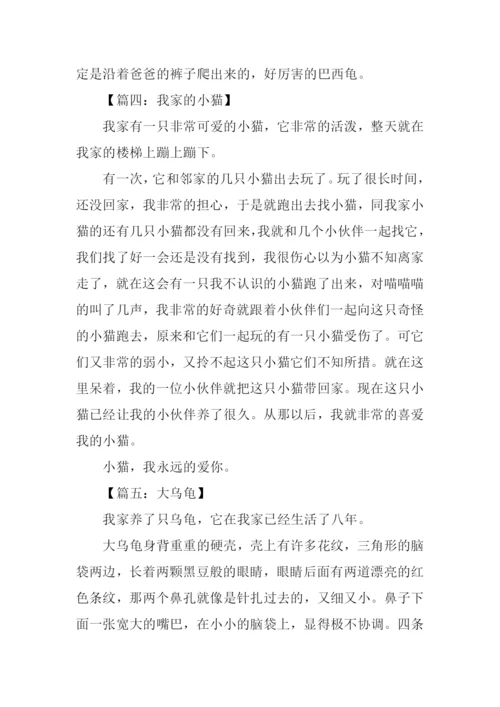 四年级动物作文大全300字.docx