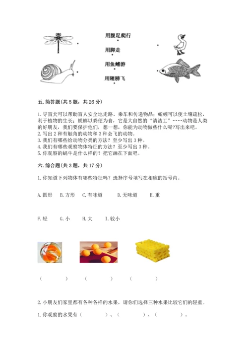 教科版一年级下册科学期末测试卷【典型题】.docx