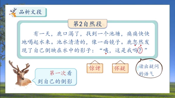 【核心素养】部编版语文三年级下册-7. 鹿角和鹿腿 第2课时（课件）