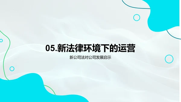 公司法解读报告