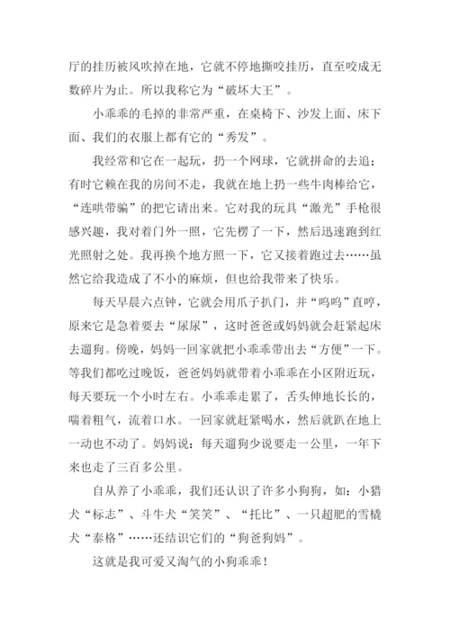 我的小狗作文600字.docx