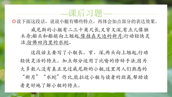 统编版语文五年级下册第七单元（课件）