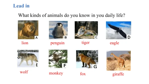 Unit 1 Animal Friends Section A 1a-1d课件+内嵌音视频-2024