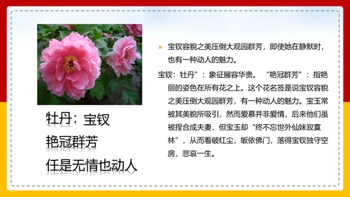 红楼梦选读高中语文教学PPT课件