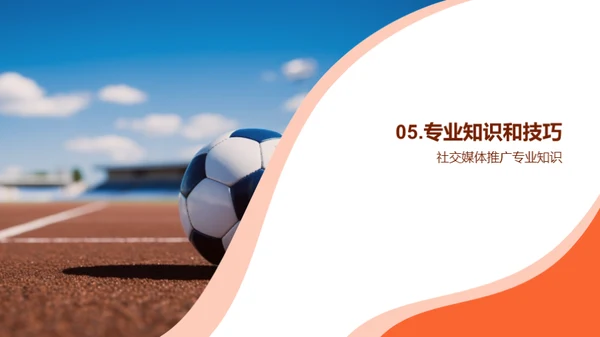 体育营销：全球视角