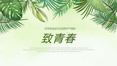 绿色文艺风致青春毕业纪念册动态PPT模板