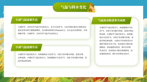 小满节气插画风教育通用模板PPT模板