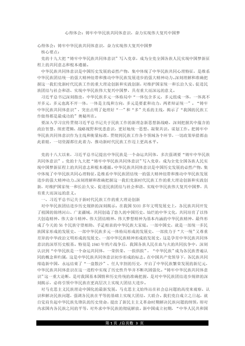 心得体会铸牢中华民族共同体意识奋力实现伟大复兴中国梦.docx