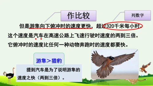 7 什么比猎豹的速度更快 第二课时 课件