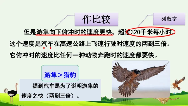 7 什么比猎豹的速度更快 第二课时 课件