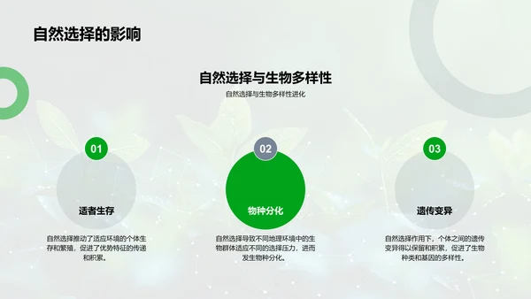 解析生物多样性PPT模板