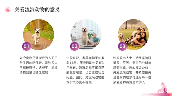 紫红色水彩简约关爱流浪动物宣传教育PPT课件