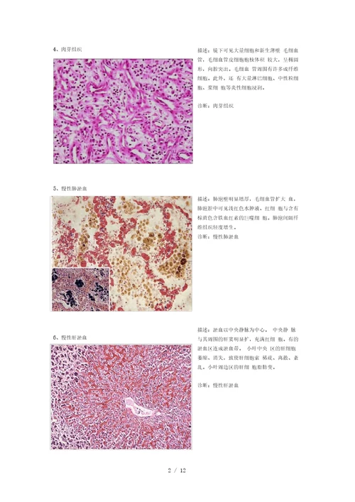 病理切片整理