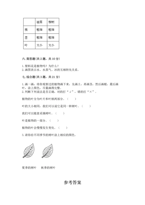 教科版科学一年级上册第一单元《植物》测试卷精品（各地真题）.docx