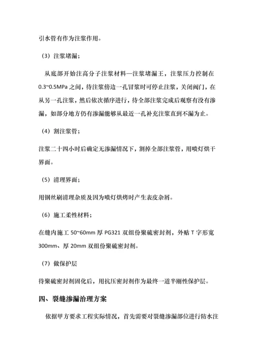 渗漏处理专项方案.docx