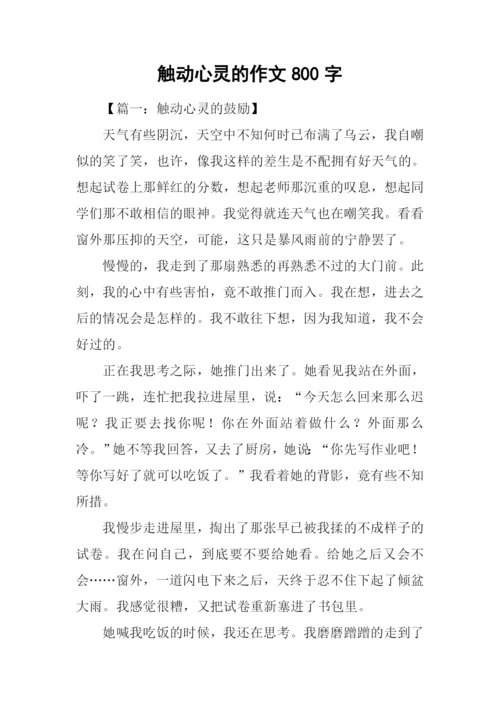 触动心灵的作文800字.docx