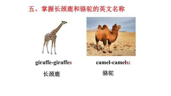 Unit 6  Would you like to take a trip? 单元知识梳理（单词+句