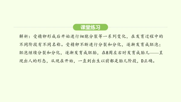 第四单元-第一章-第一节 人的生殖课件-2024-2025学年七年级生物下学期人教版(2024)(共