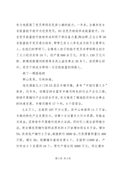 竹乡飞歌春来早——记羊楼司镇党委、政府 (2).docx