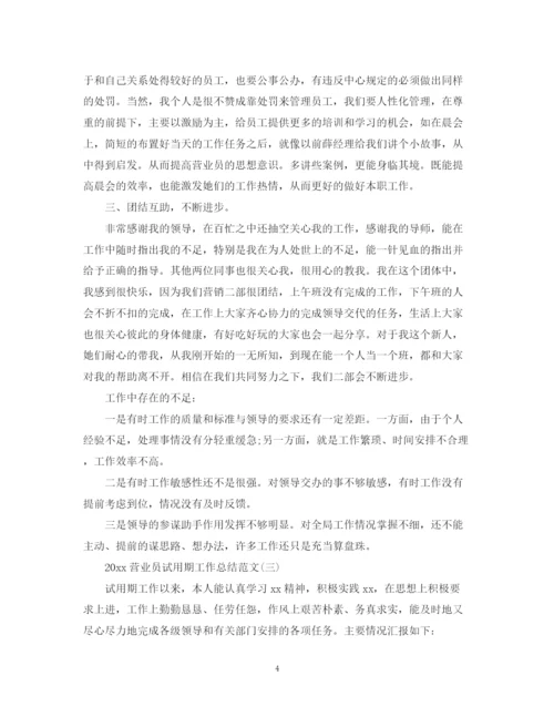 精编之营业员试用期工作总结范文.docx