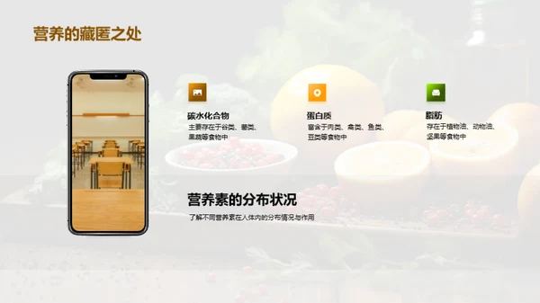 营养均衡与健康生活