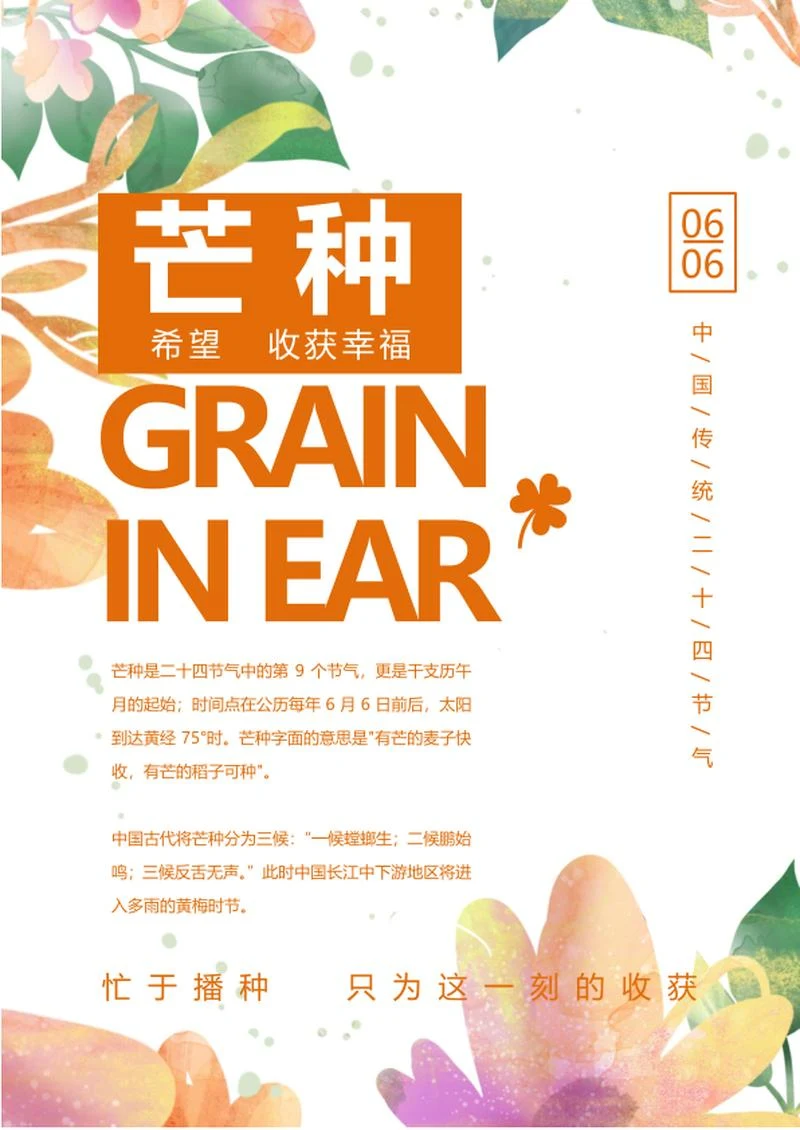白色小清新二十四节气芒种海报word模板