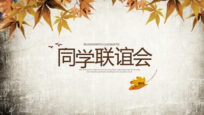 怀旧风格20年同学联谊会PPT模板