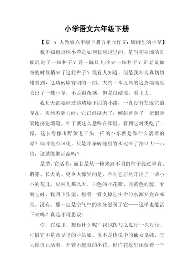 小学语文六年级下册.docx
