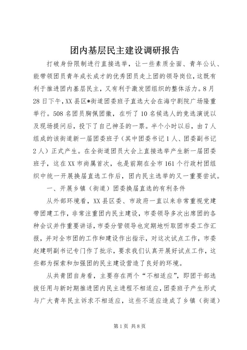 团内基层民主建设调研报告.docx