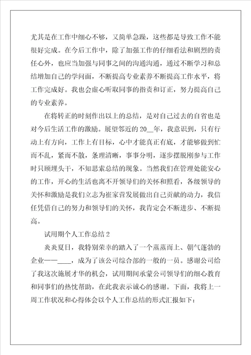 2022试用期个人工作总结
