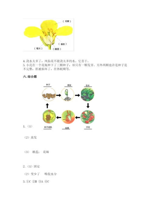 科学四年级下册第一单元《植物的生长变化》测试卷【轻巧夺冠】.docx