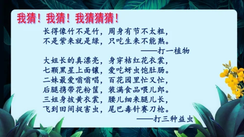 开学第一课+致同学们-【大单元教学】2023-2024学年七年级生物上册同步备课系列（人教版）(共2