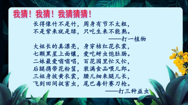 开学第一课+致同学们-【大单元教学】2023-2024学年七年级生物上册同步备课系列（人教版）(共2