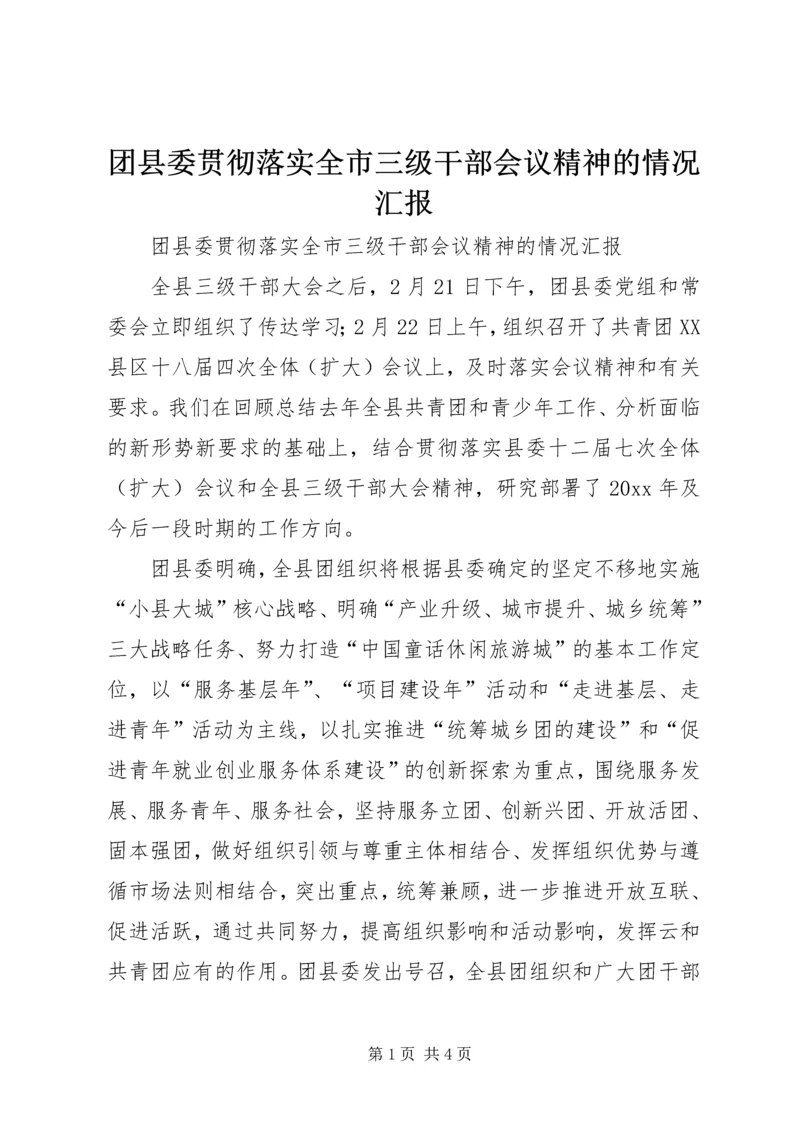 团县委贯彻落实全市三级干部会议精神的情况汇报.docx