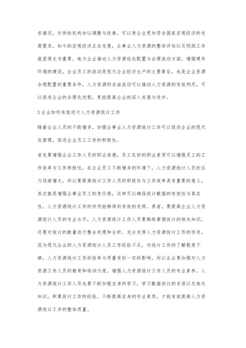 电力企业人力资源统计的重要性.docx