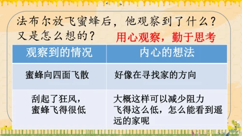 14《蜜蜂》课件