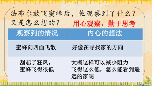 14《蜜蜂》课件