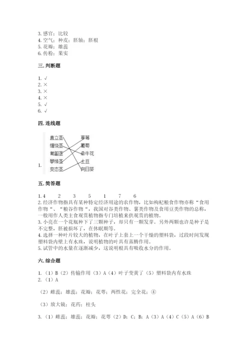 科学四年级下册第一单元植物的生长变化测试卷完整版.docx